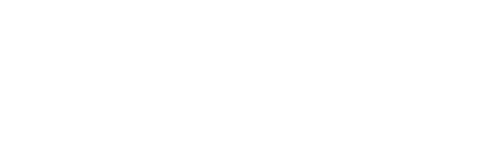 Wilsch IT-Services